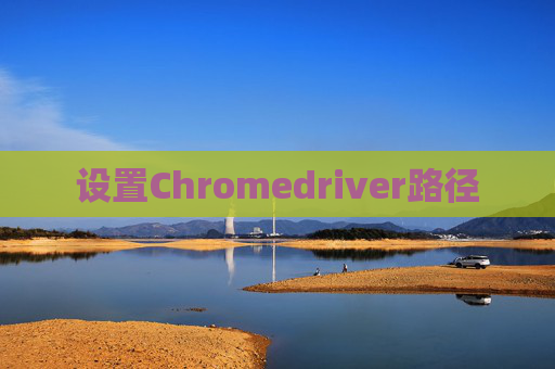 设置Chromedriver路径